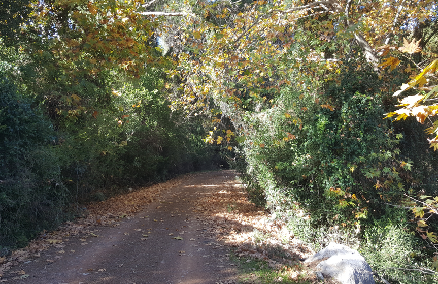Yeşilçam Yürüyüş Yolu